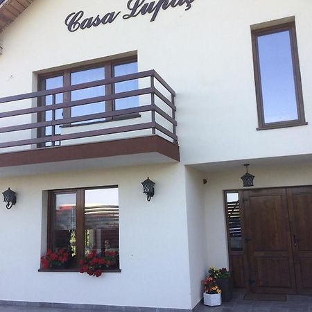 Pensiunea Casa Lupas Gilău 外观 照片